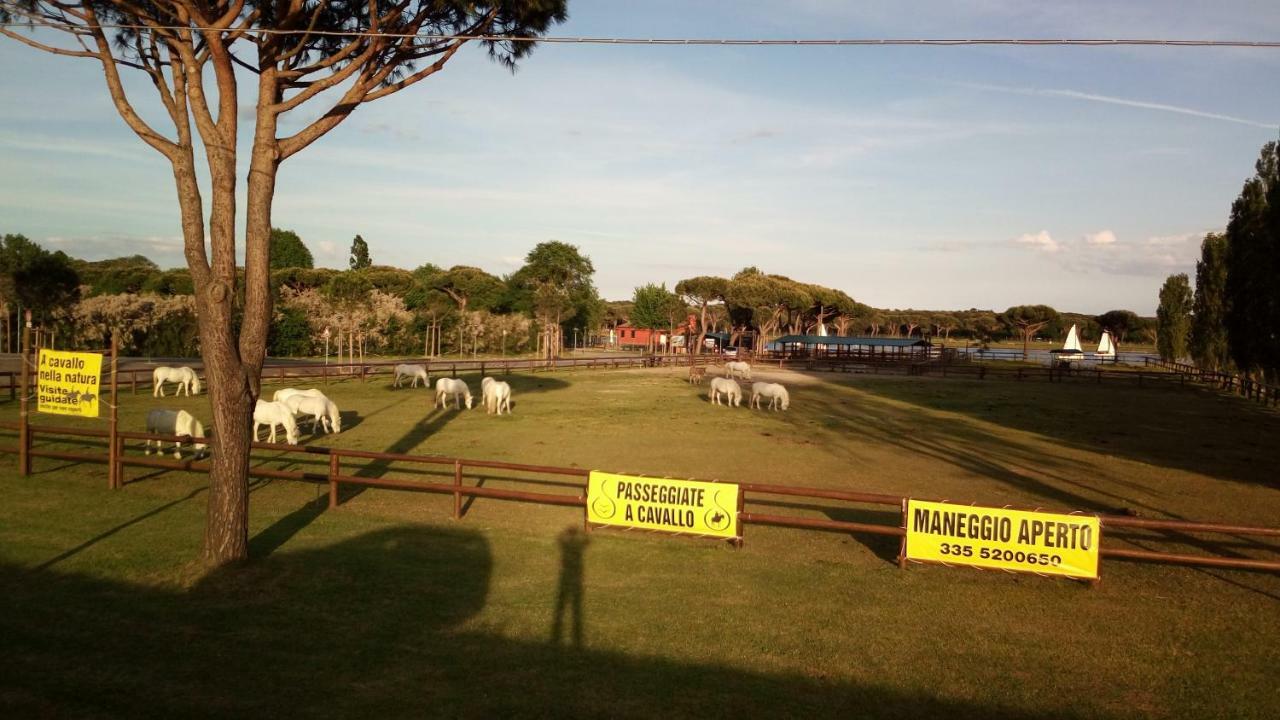 Ferienwohnung Mare Pineta Lido di Volano Exterior foto